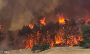 incendio-en-Jerusalen-780x470