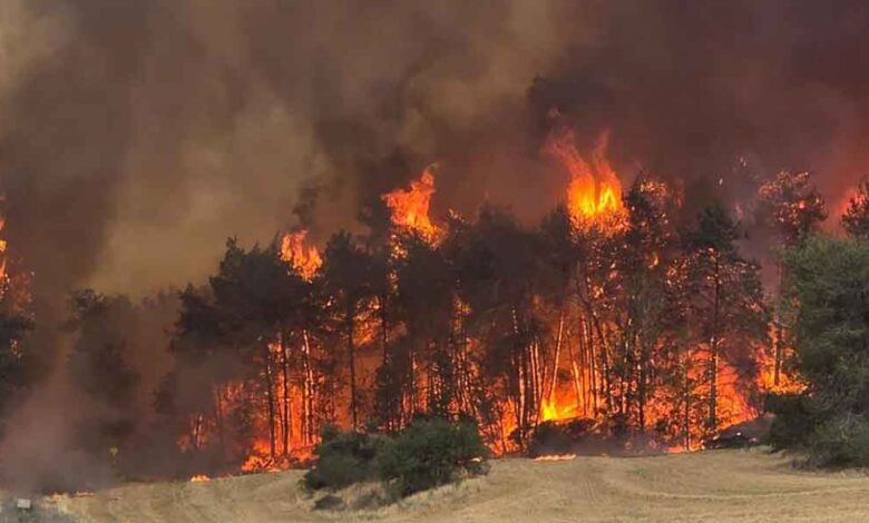 incendio-en-Jerusalen-780x470